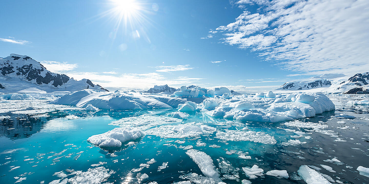 L'Antarctique emblématique 