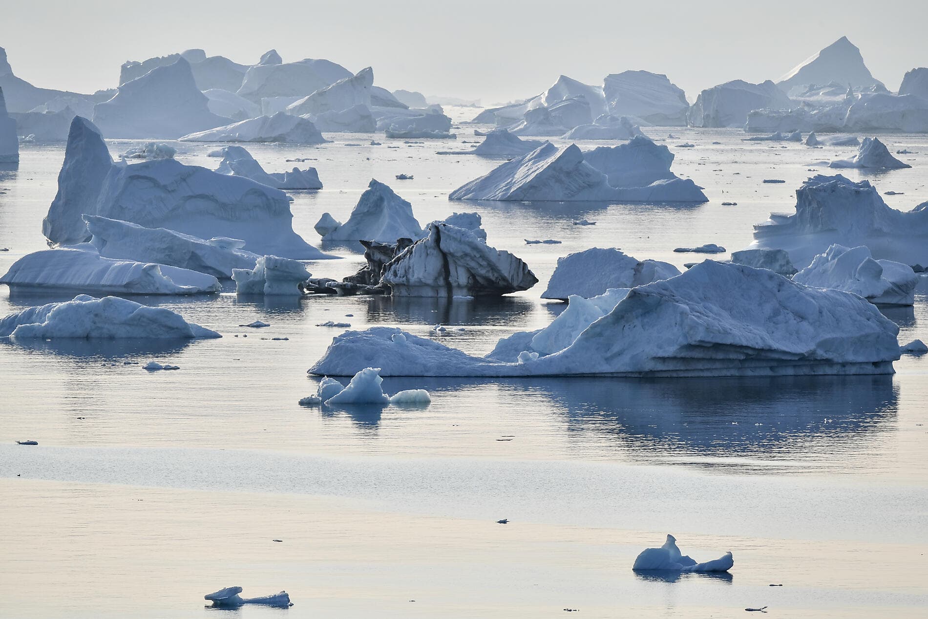 Les secrets de la mer de Baffin 