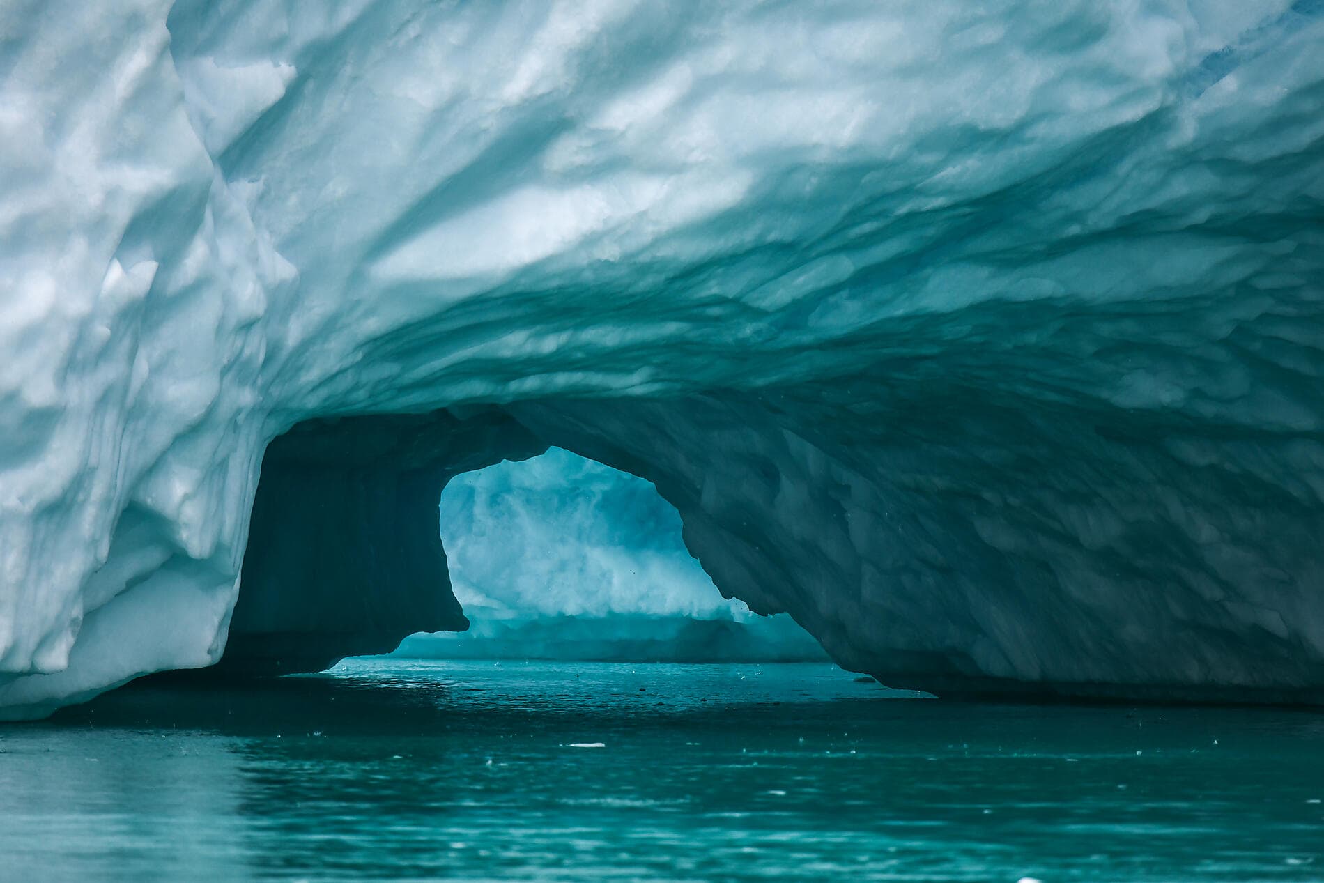 Les secrets de la mer de Baffin 