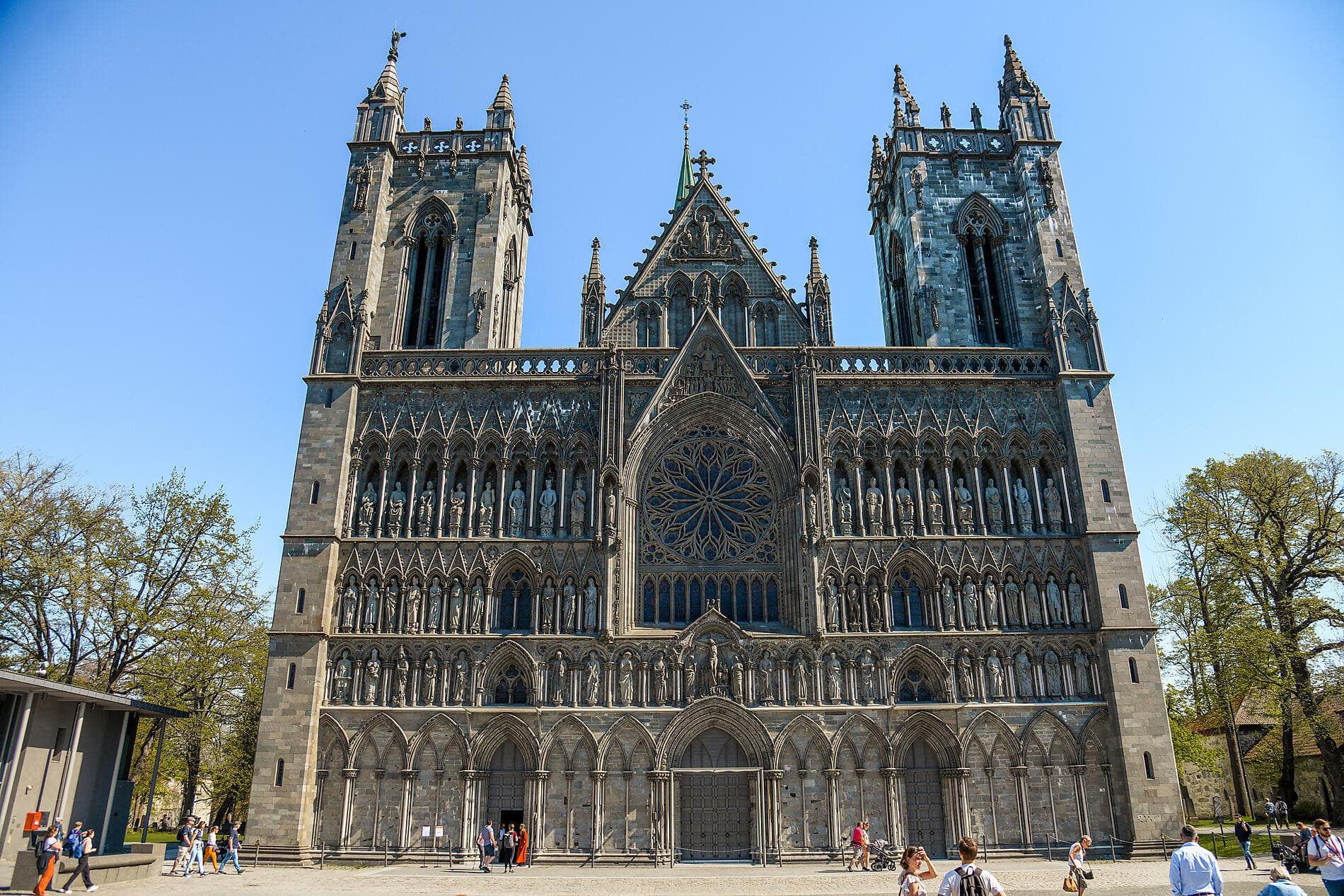 Trésors des mers du Nord et de Norvège 