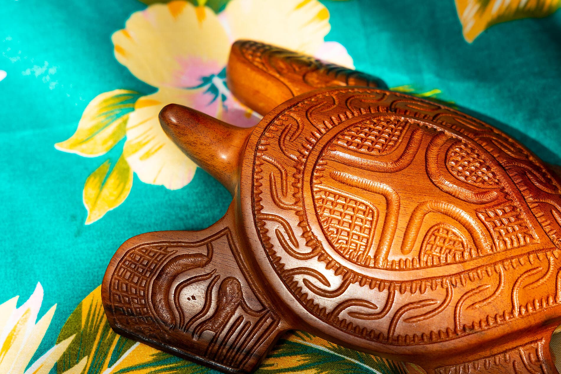 Douceur polynésienne : Marquises et Tuamotu 