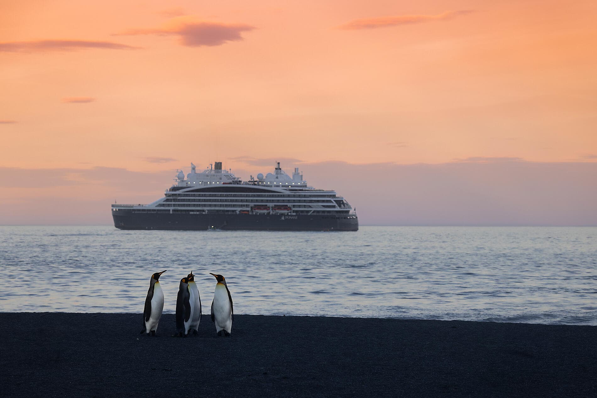 Côte est inexplorée de l'Antarctique et terres australes françaises 
