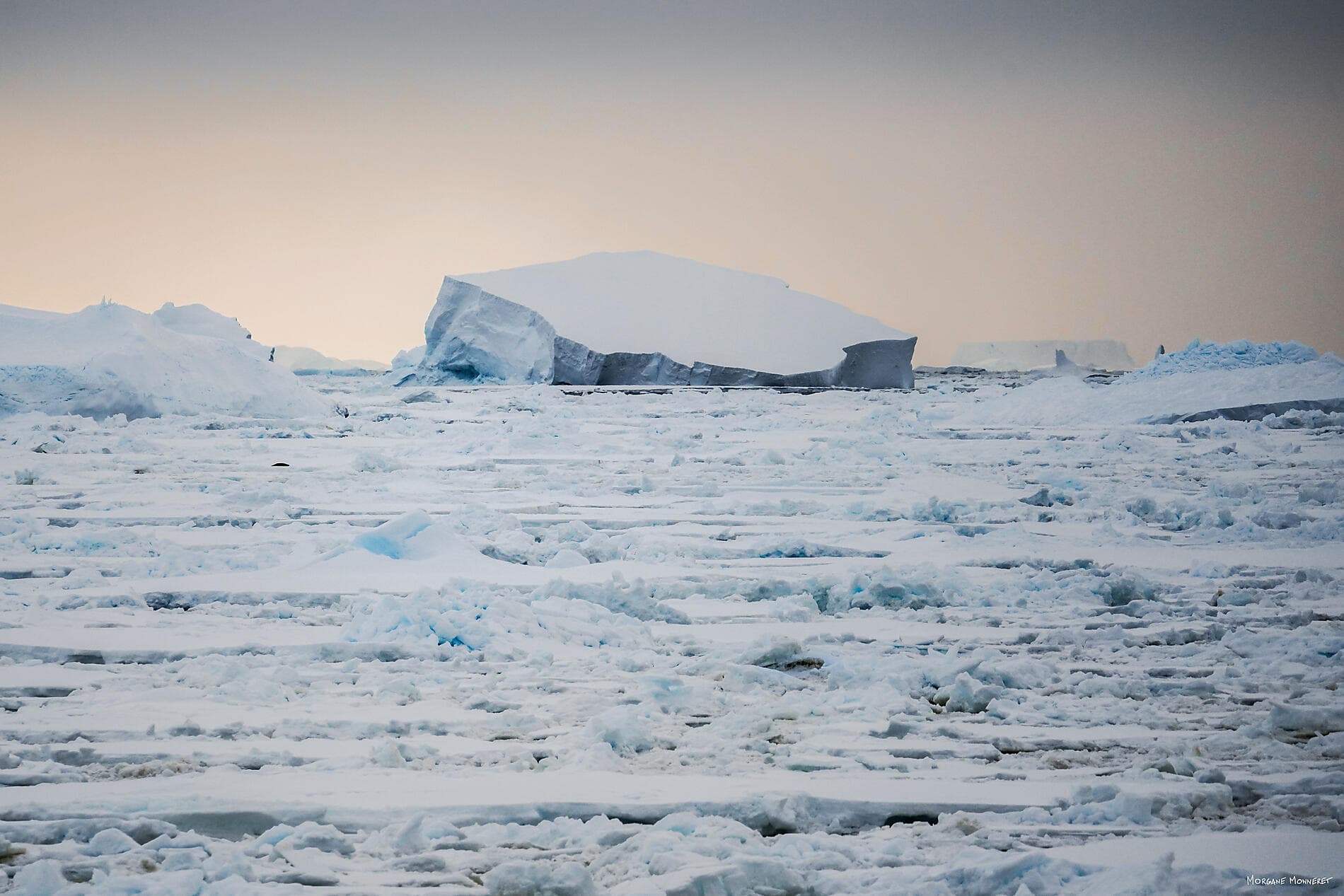 Entre deux continents, terres inexplorées d'Antarctique 