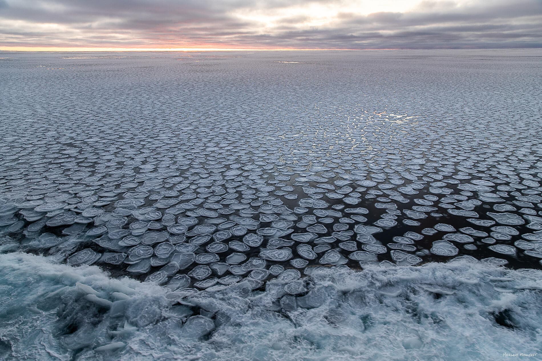 Entre deux continents, terres inexplorées d'Antarctique 