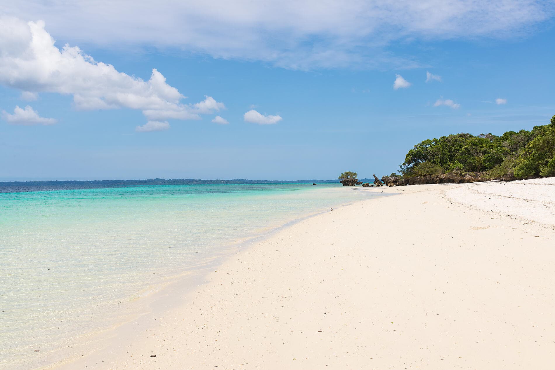 Zanzibar, Aldabra et trésors de l'océan Indien 