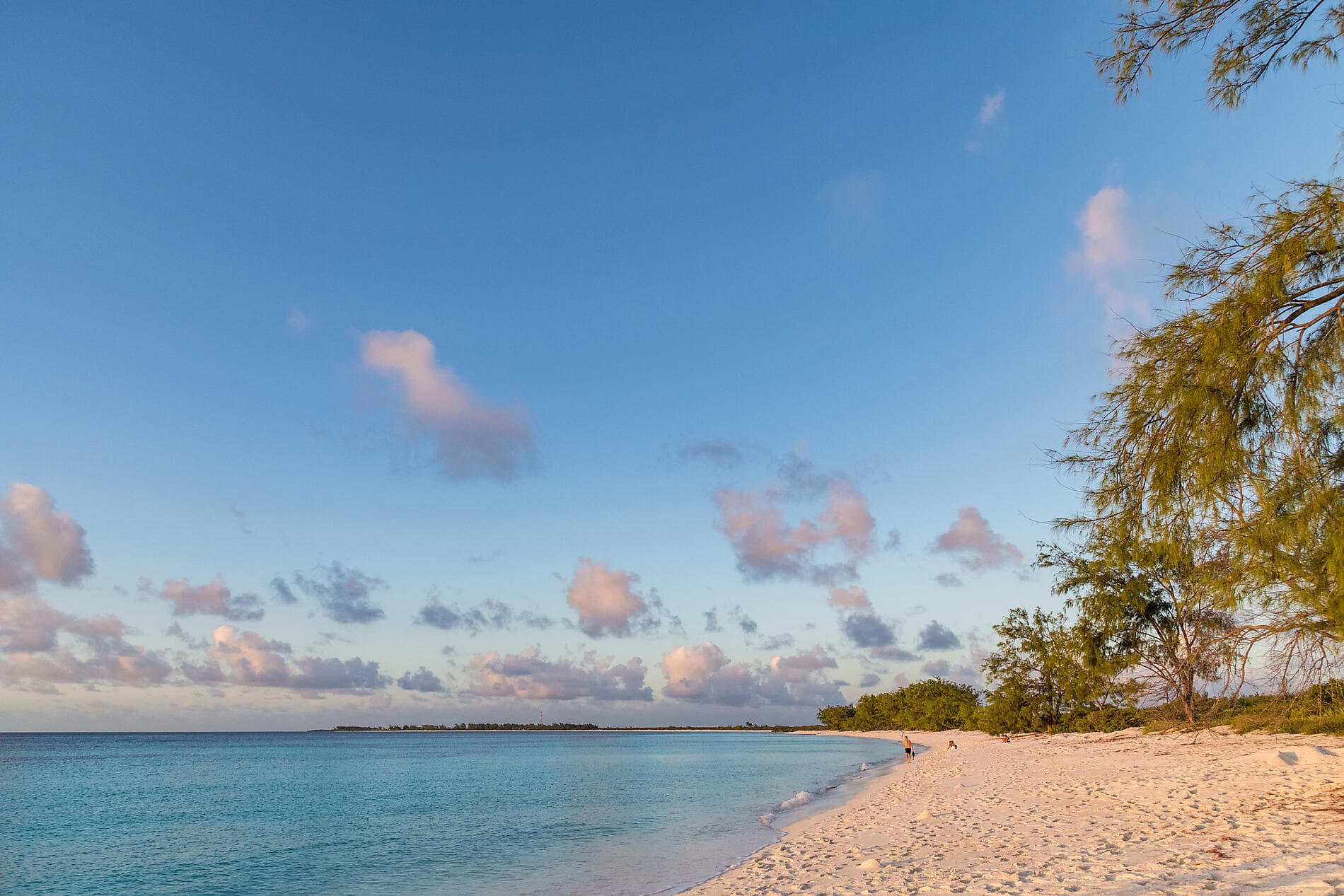 Zanzibar, Aldabra et trésors de l'océan Indien 