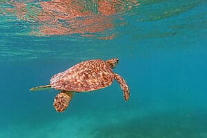 Grottes de l’île au trésor