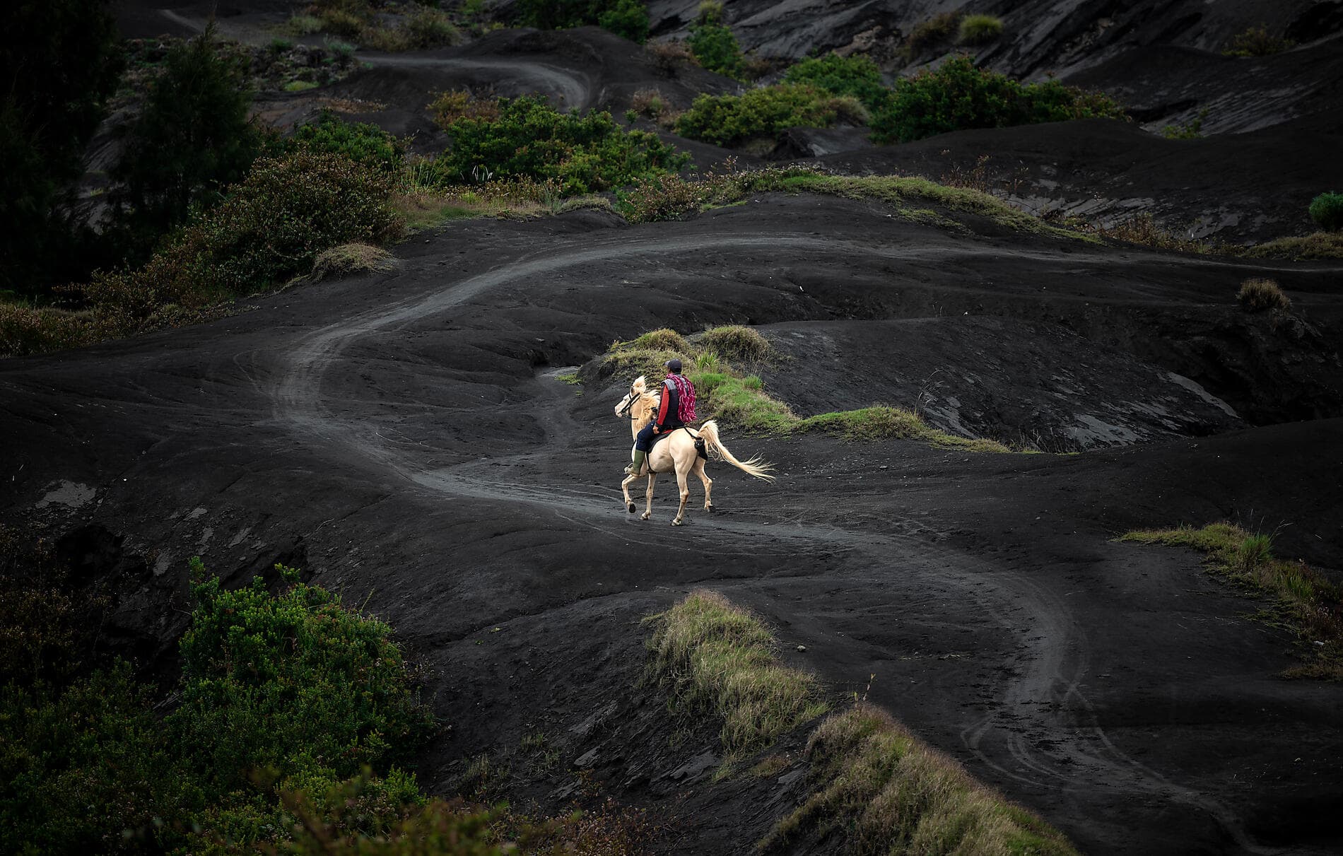 De temples en volcans : l'âme indonésienne 