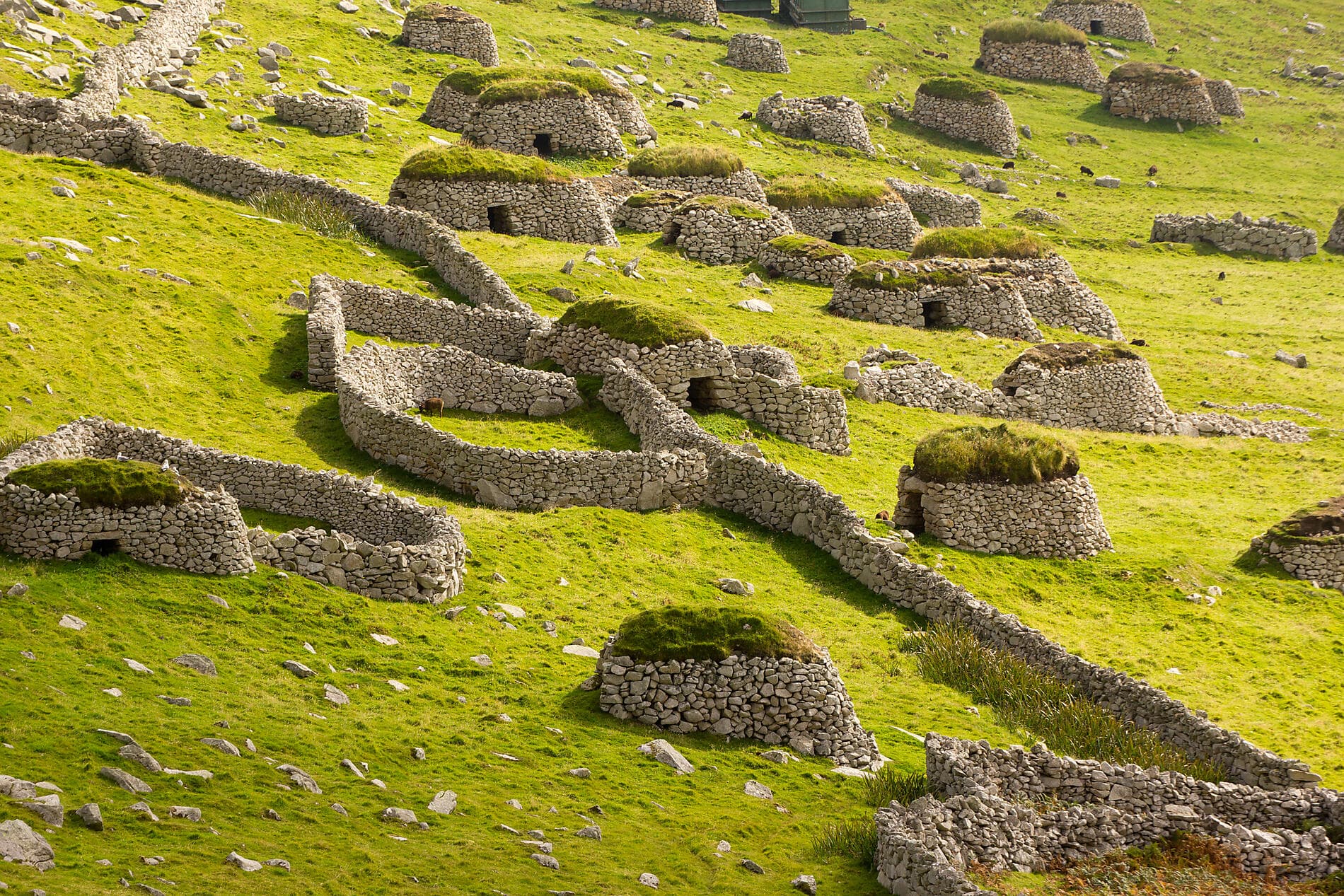 Archipels d'Écosse et îles Féroé : héritages nordiques et identités insulaires 