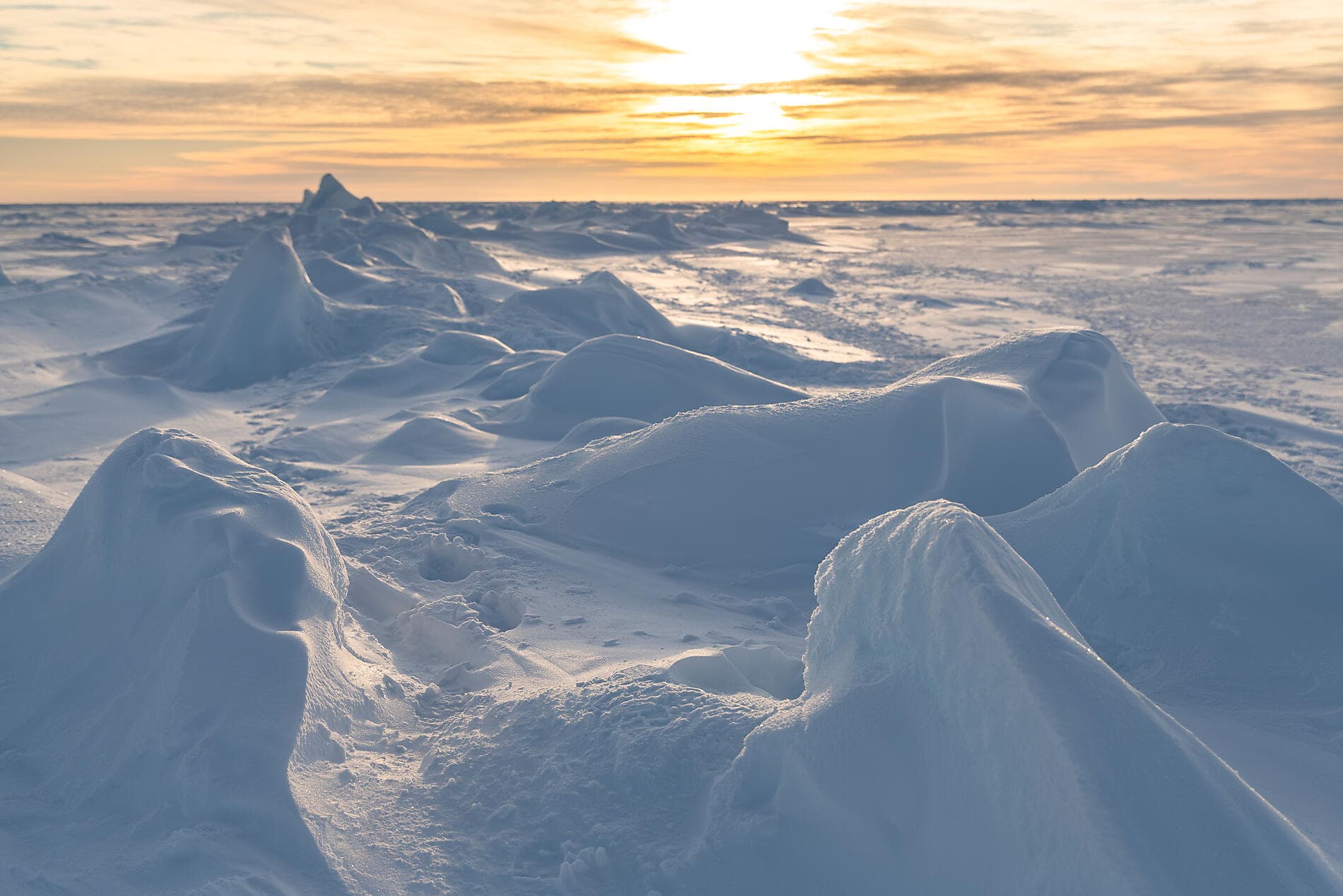 Transarctique, la quête des deux pôles Nord 