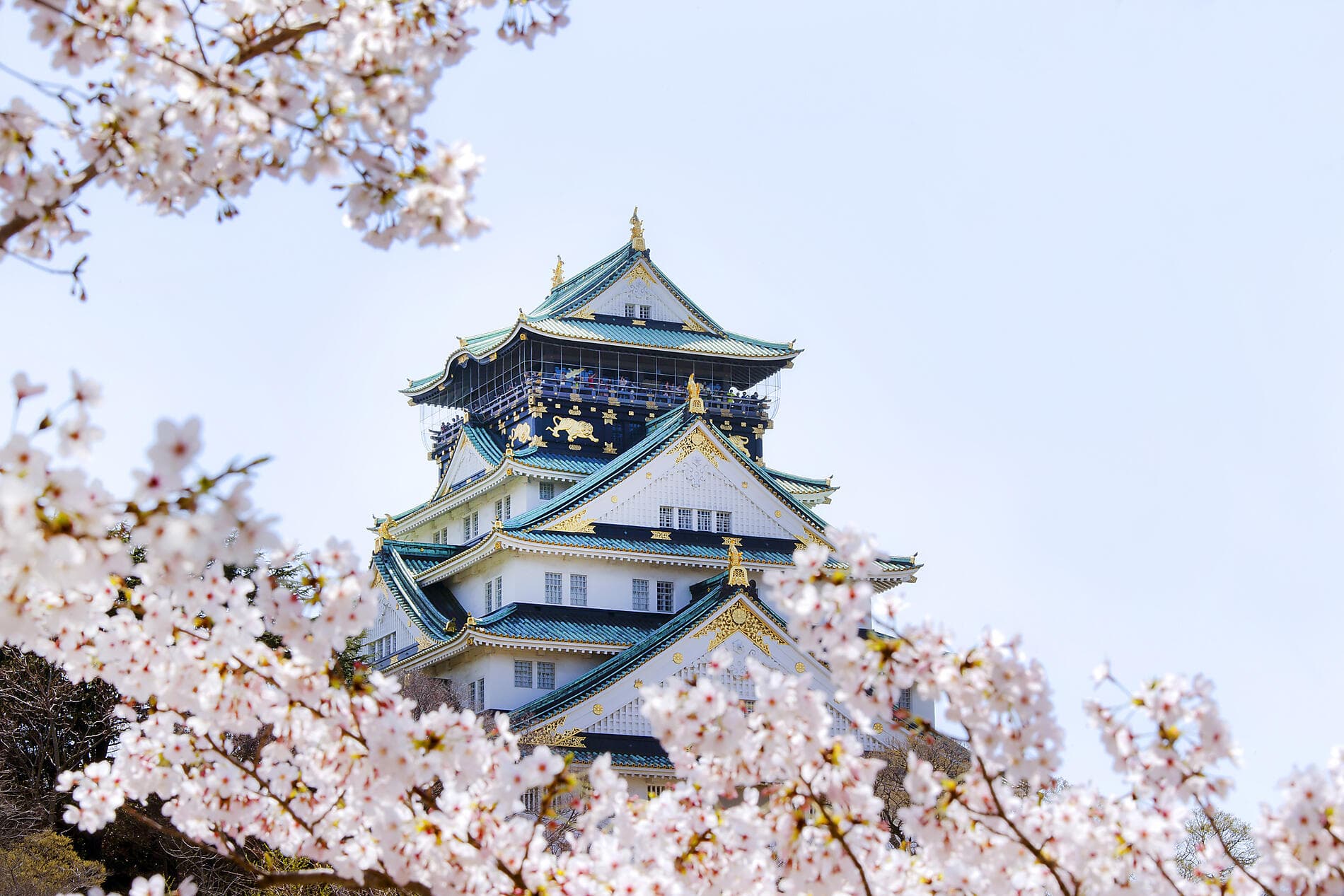 L'essentiel du Japon 