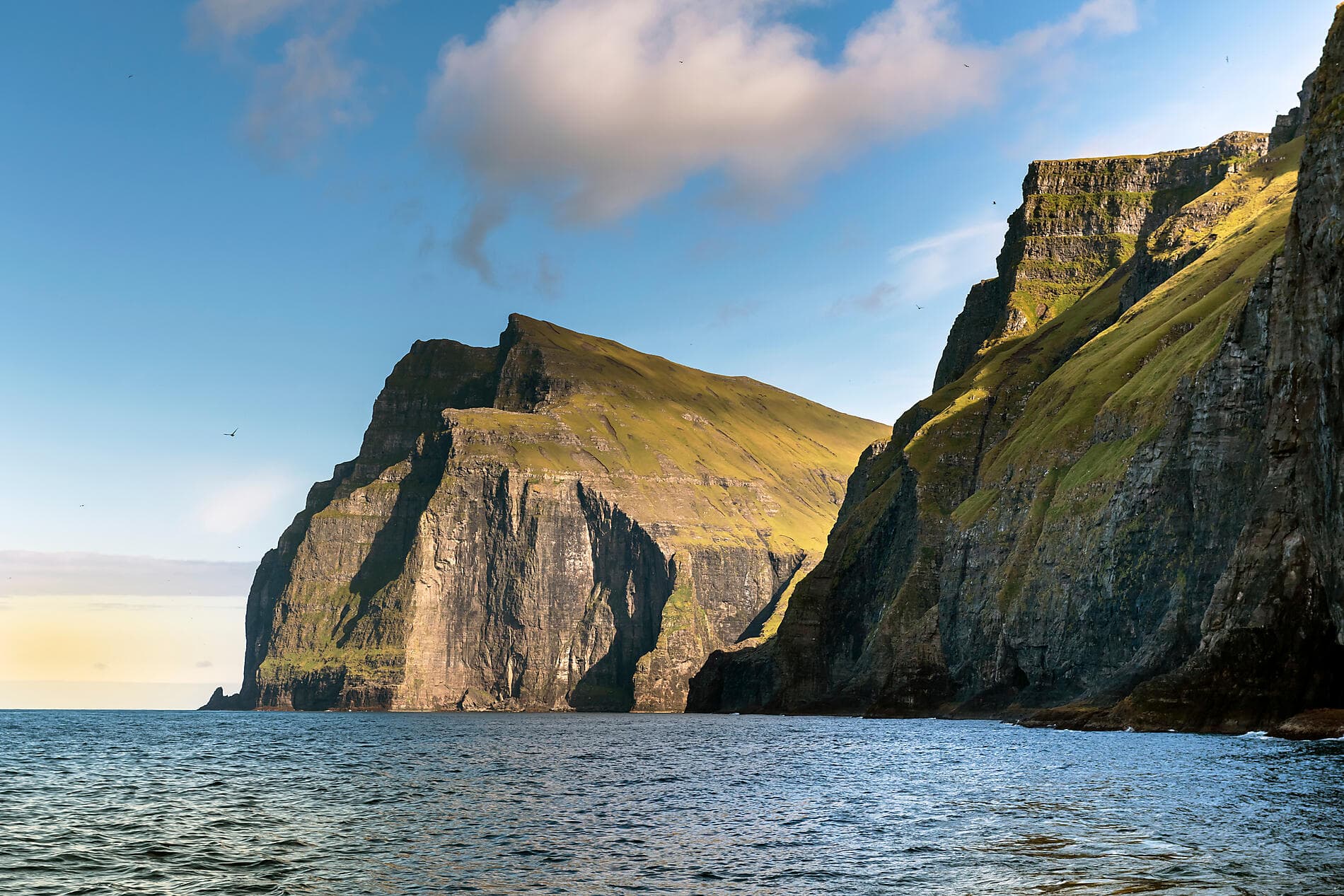 Territoires sauvages d'Écosse, des îles Féroé et d'Islande 