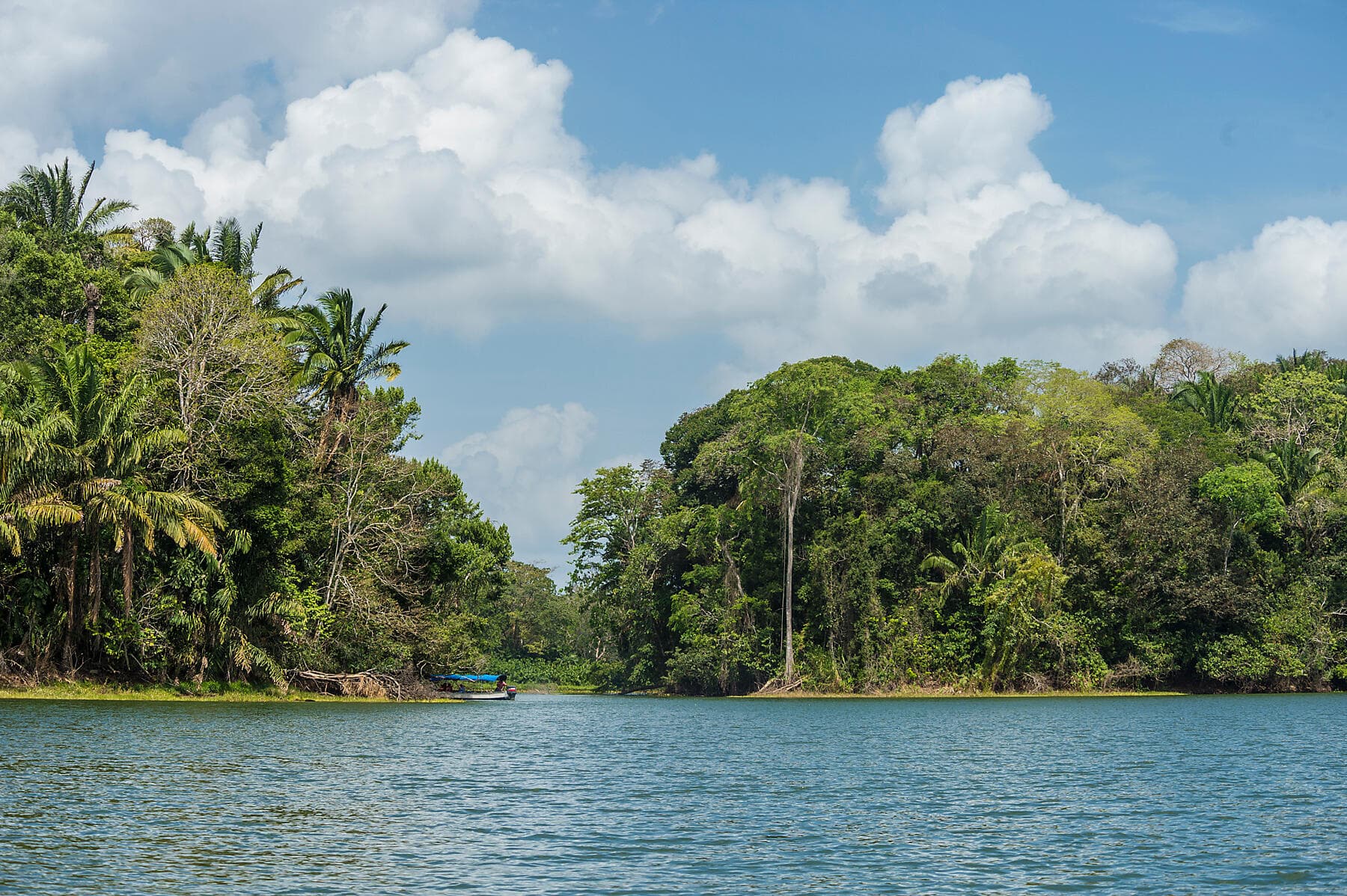 Canal de Panama et joyaux d'Amérique centrale   