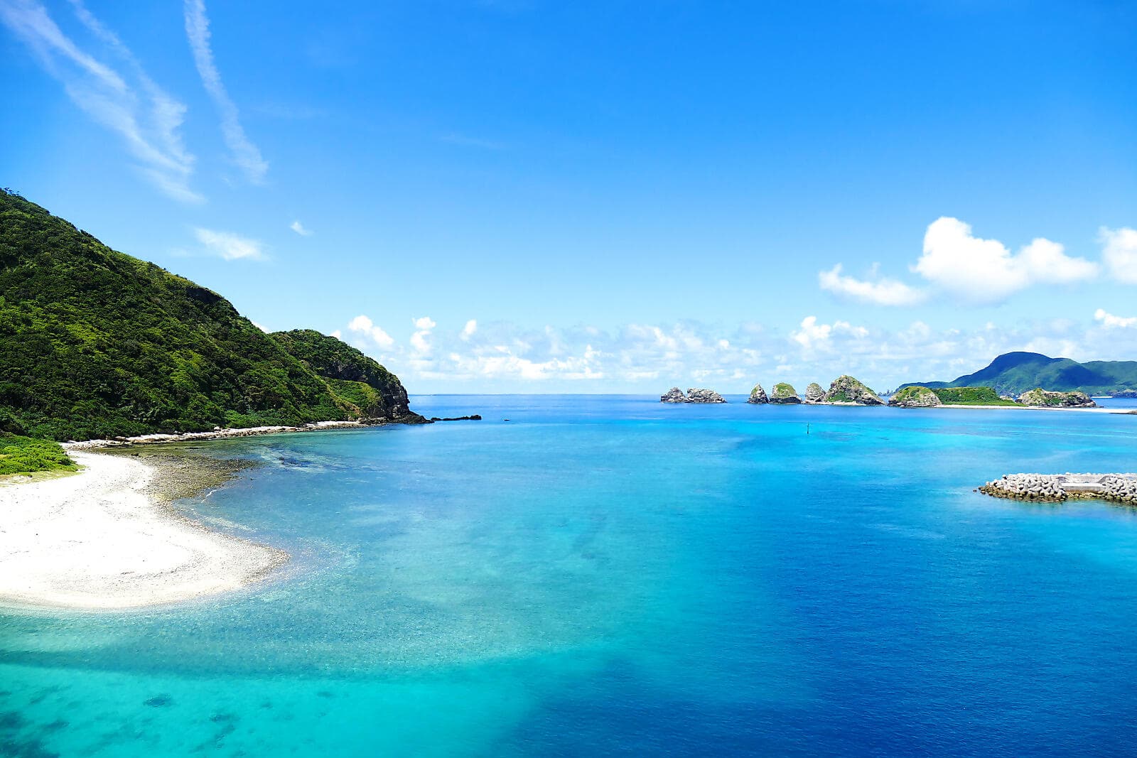 Îles subtropicales et Japon ancestral 