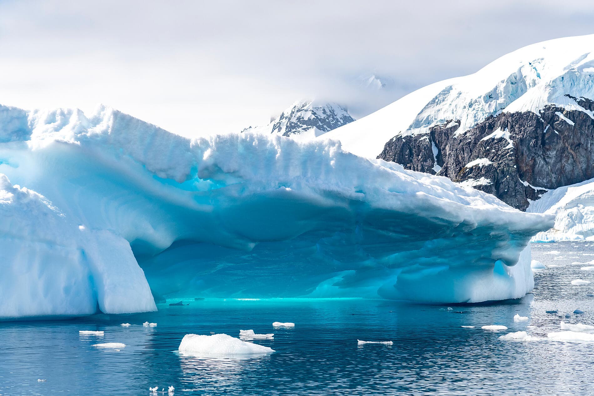 L'Antarctique emblématique  