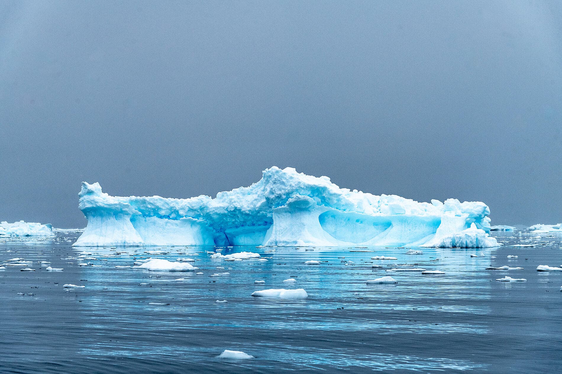 L'Antarctique emblématique  