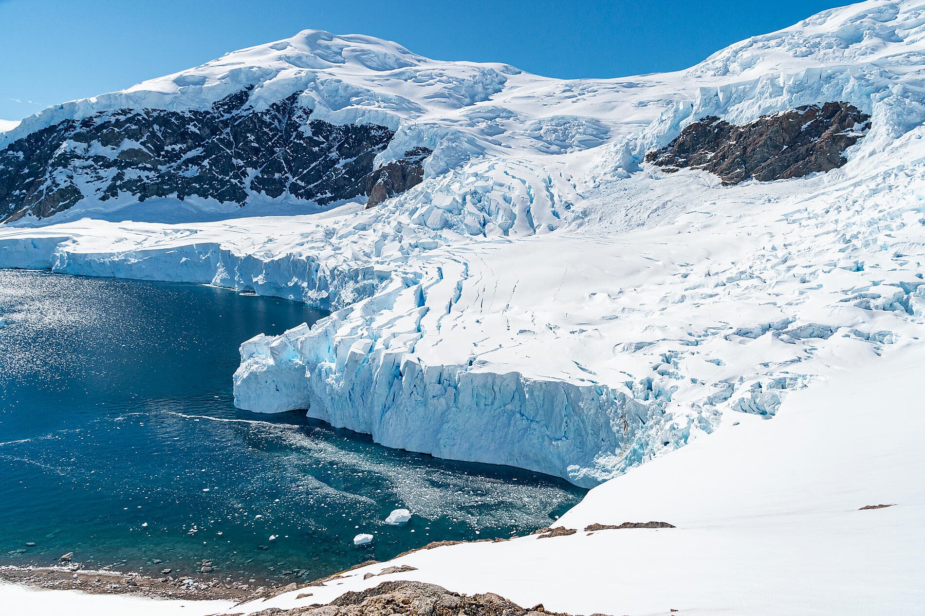 L'Antarctique emblématique  
