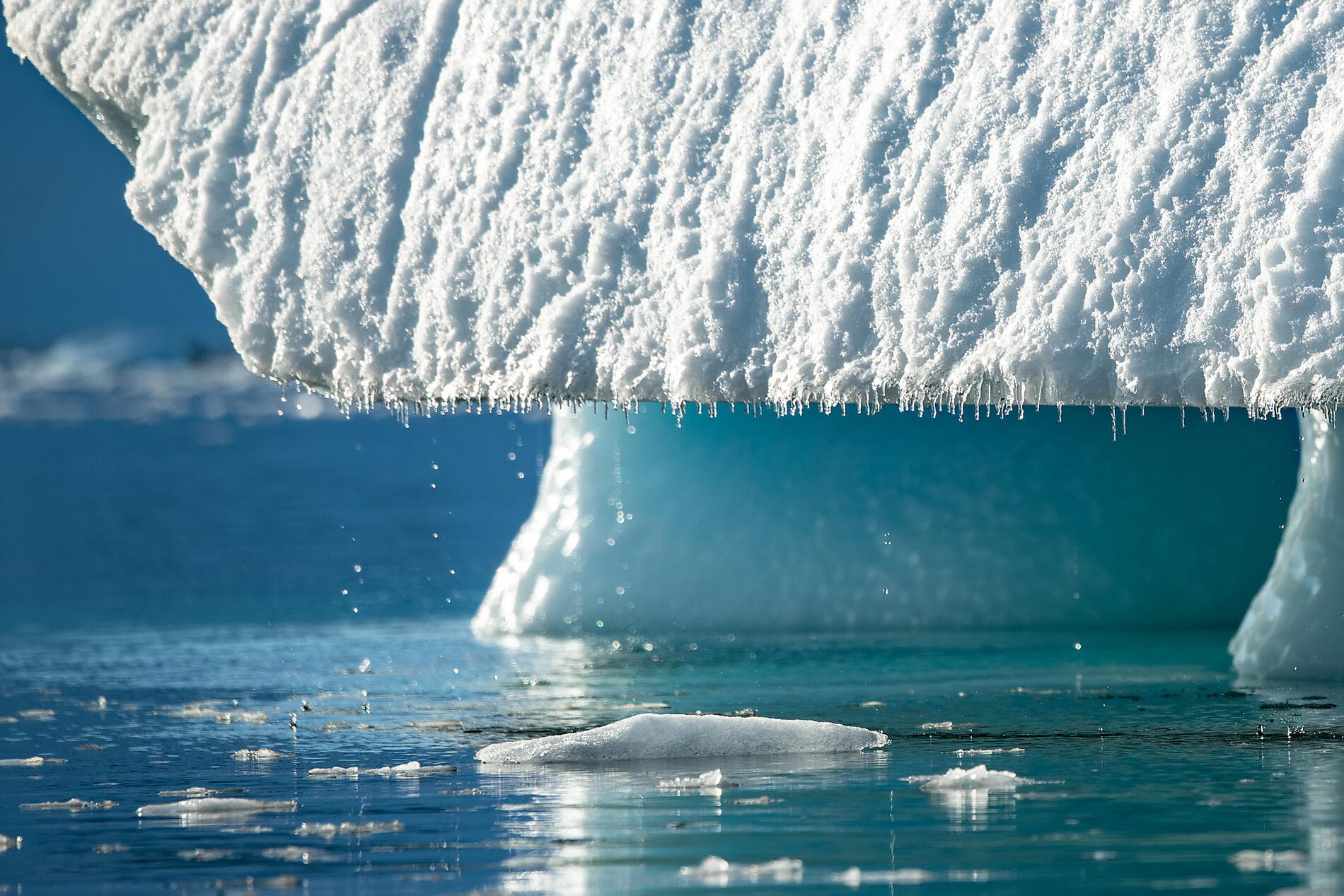 L'Antarctique emblématique  