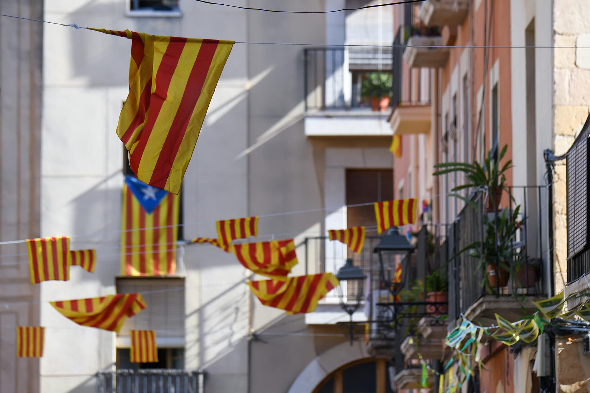 Rivages corses sous les voiles du Ponant 