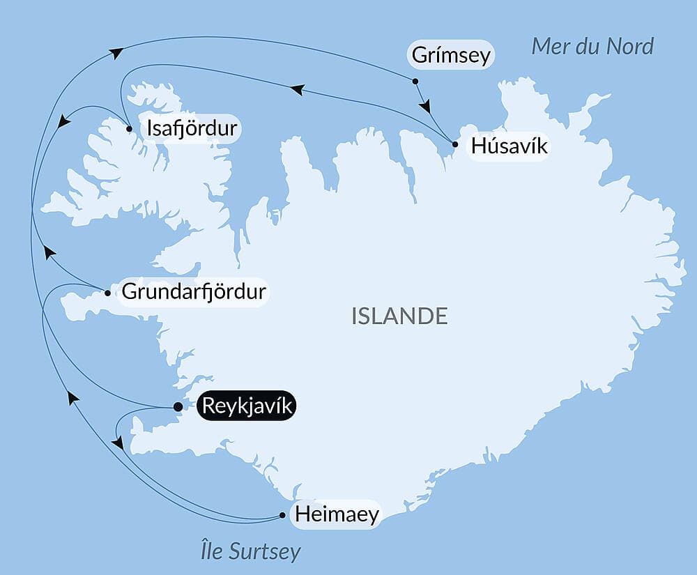 Mosaïque islandaise null