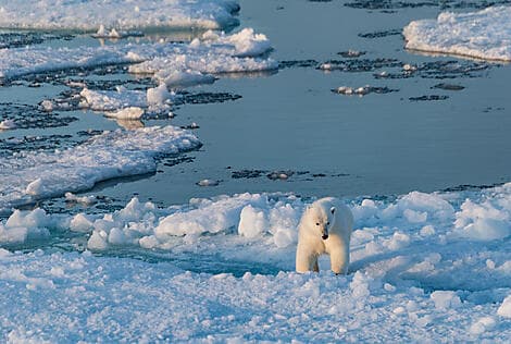 10 Sept 26 - Coningham Bay, Nunavut