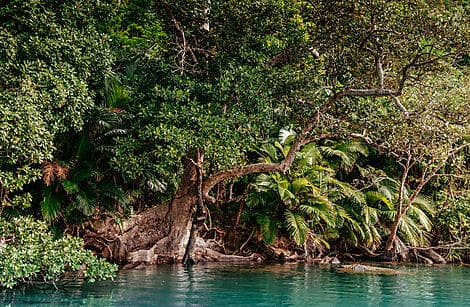 18 Avr 26 - Iriomotejima