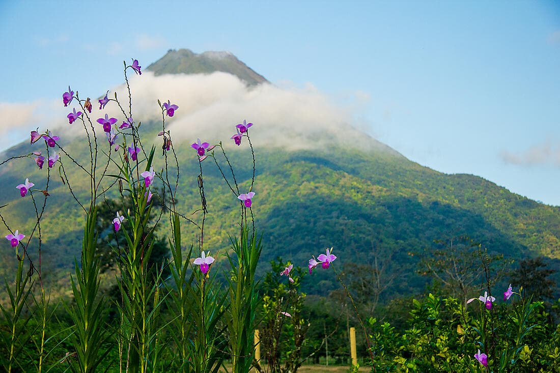 COSTA RICA : ENTRE MERVEILLES NATURELLES ET TRADITIONS (3 NUITS)